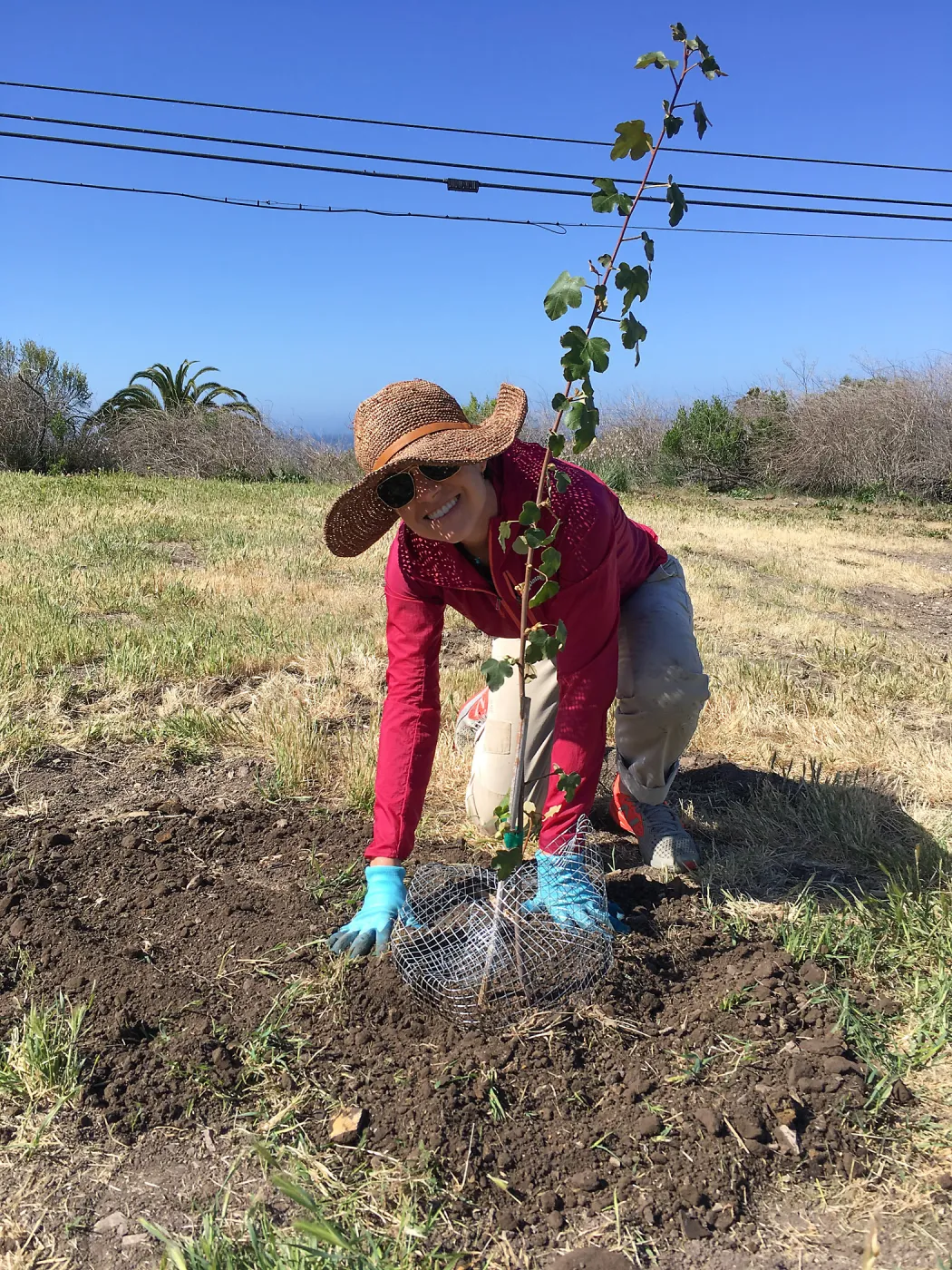 Earth Day Planting Project, Refugio State Beach