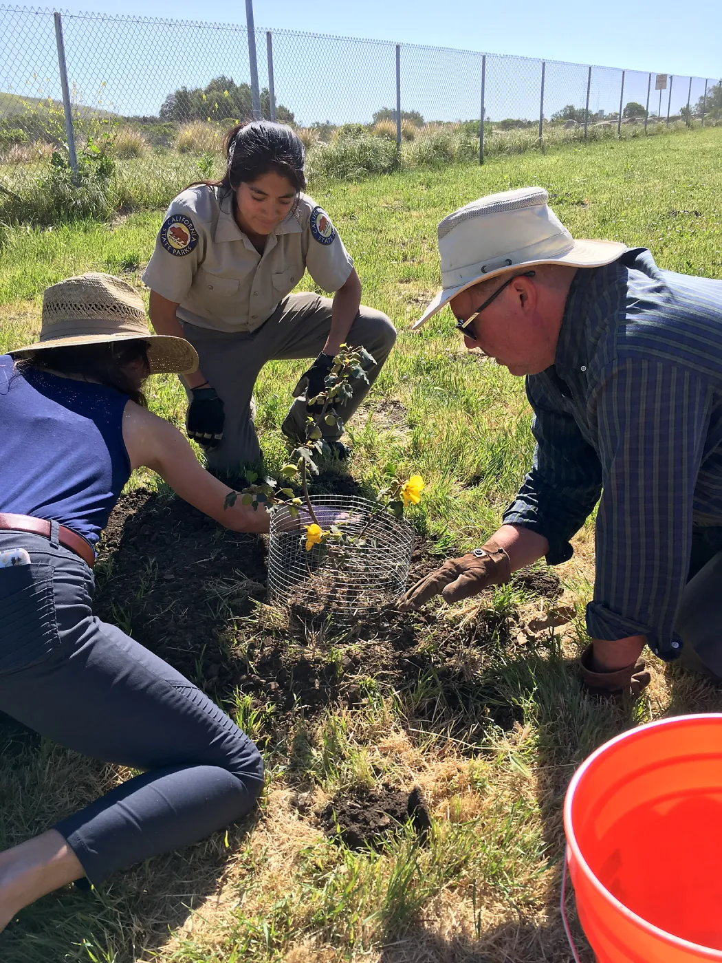 Earth Day Planting Project, Refugio State Beach