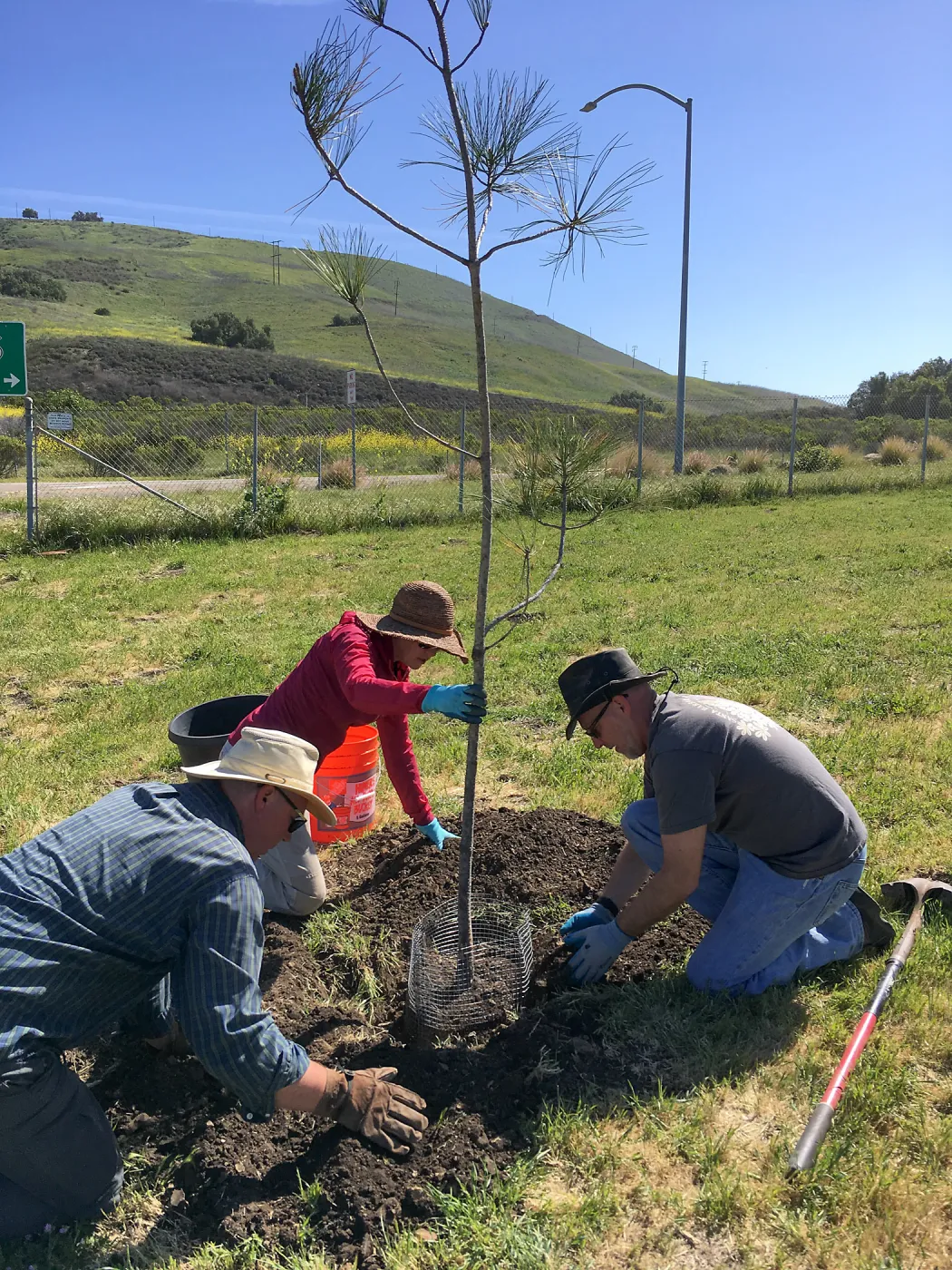 Earth Day Planting Project, Refugio State Beach