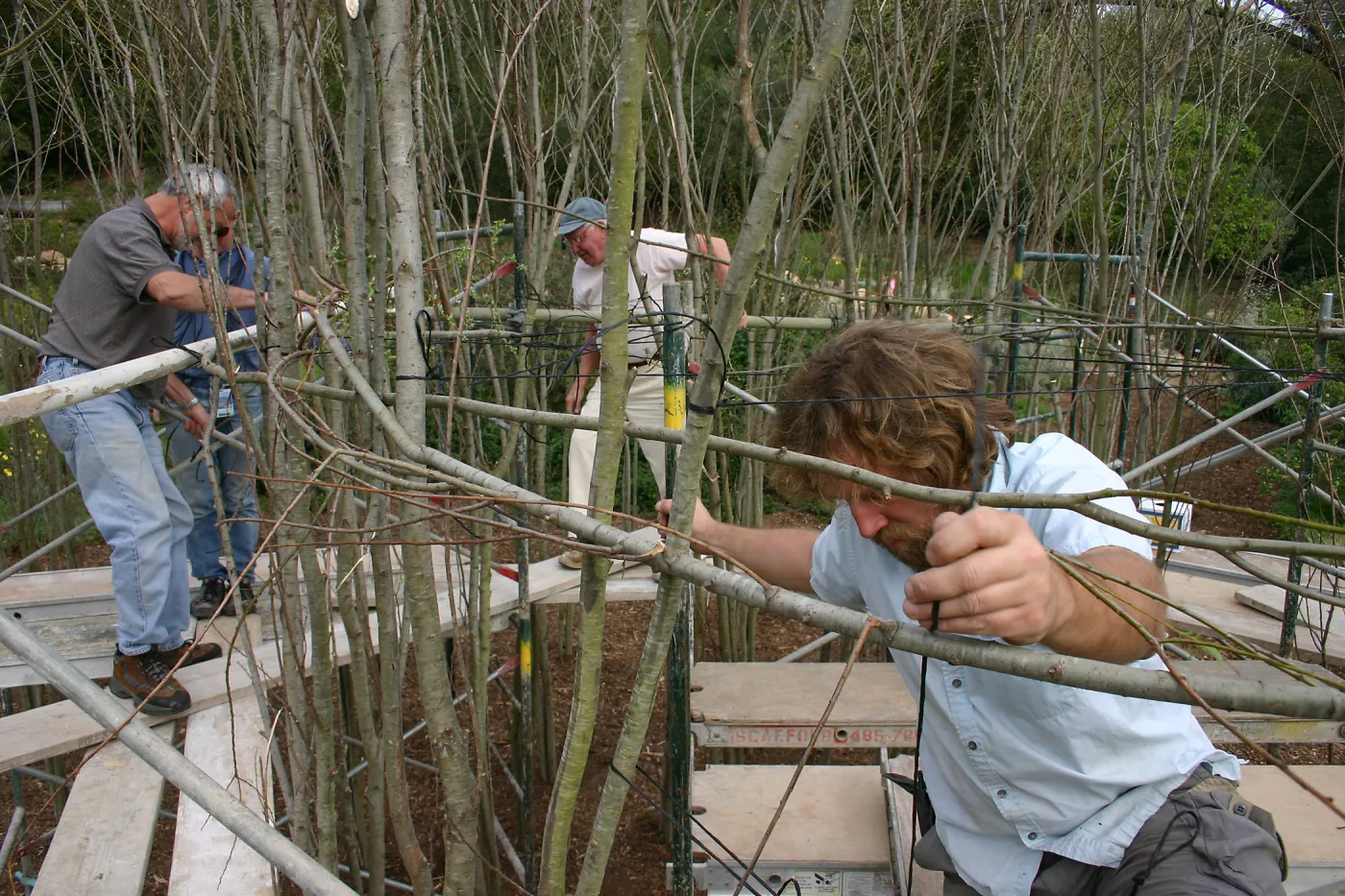 Toad Hall construction
