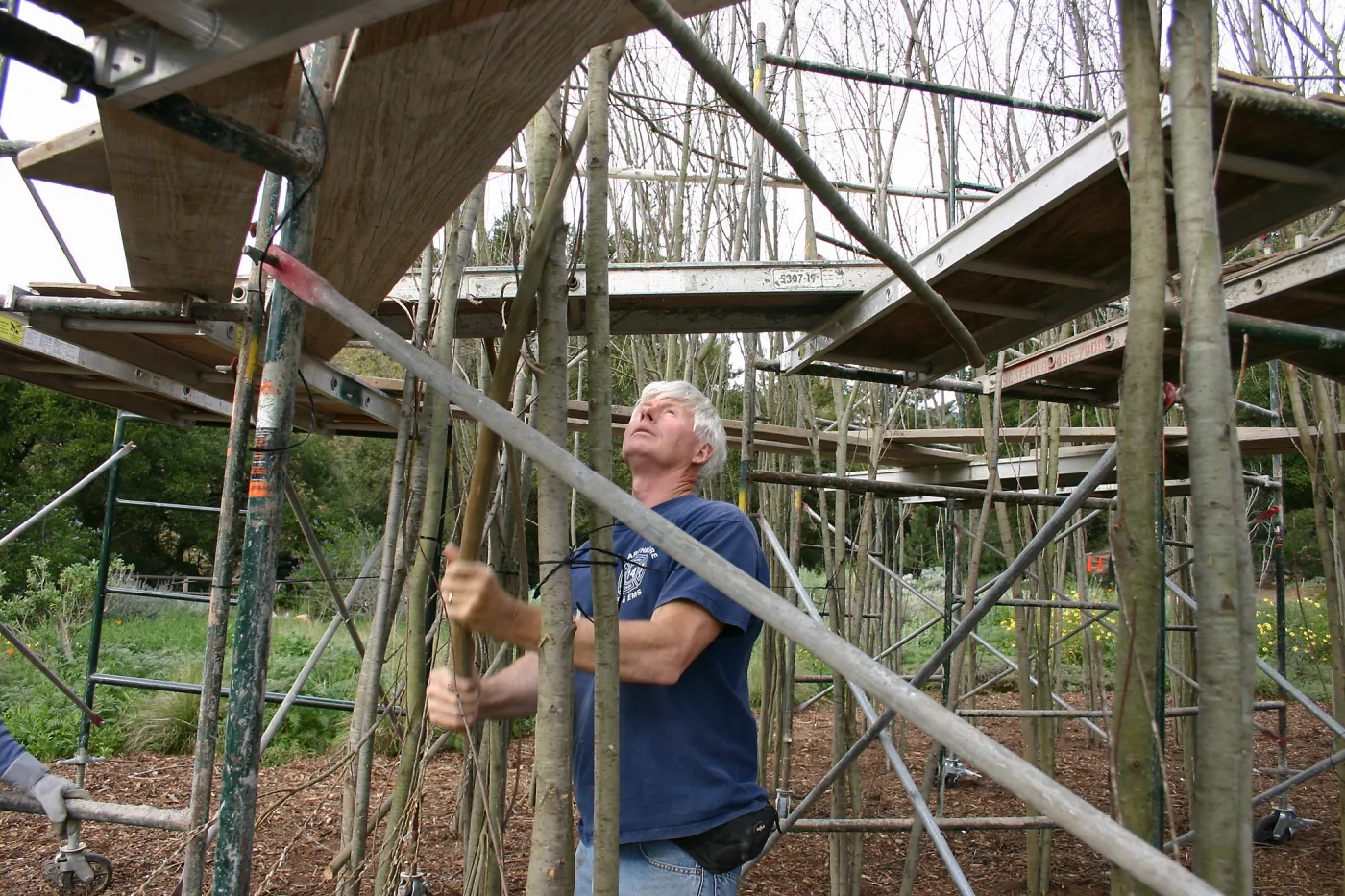 Toad Hall construction