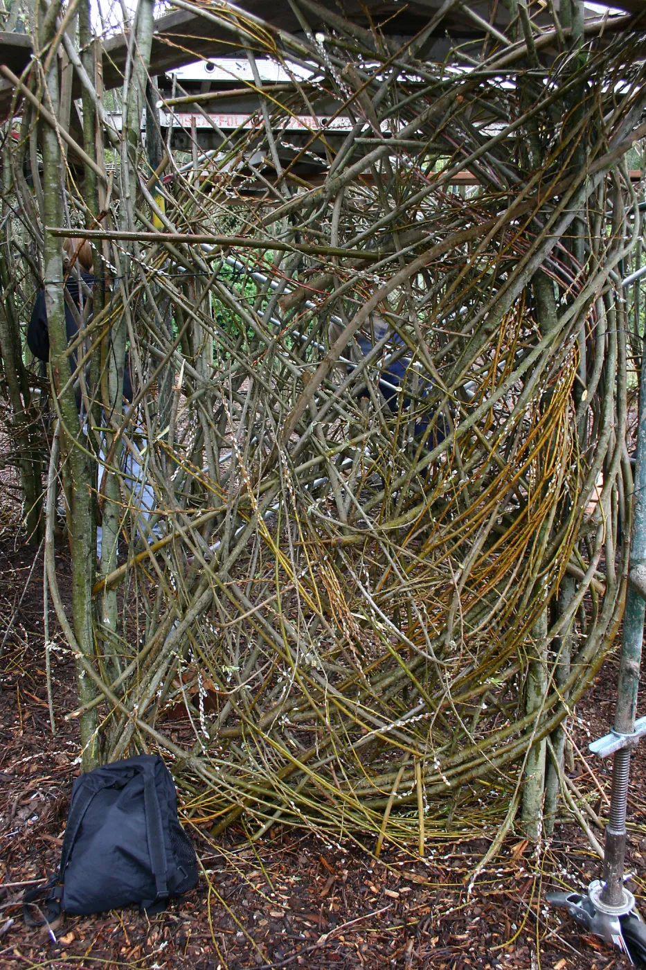 Toad Hall Construction