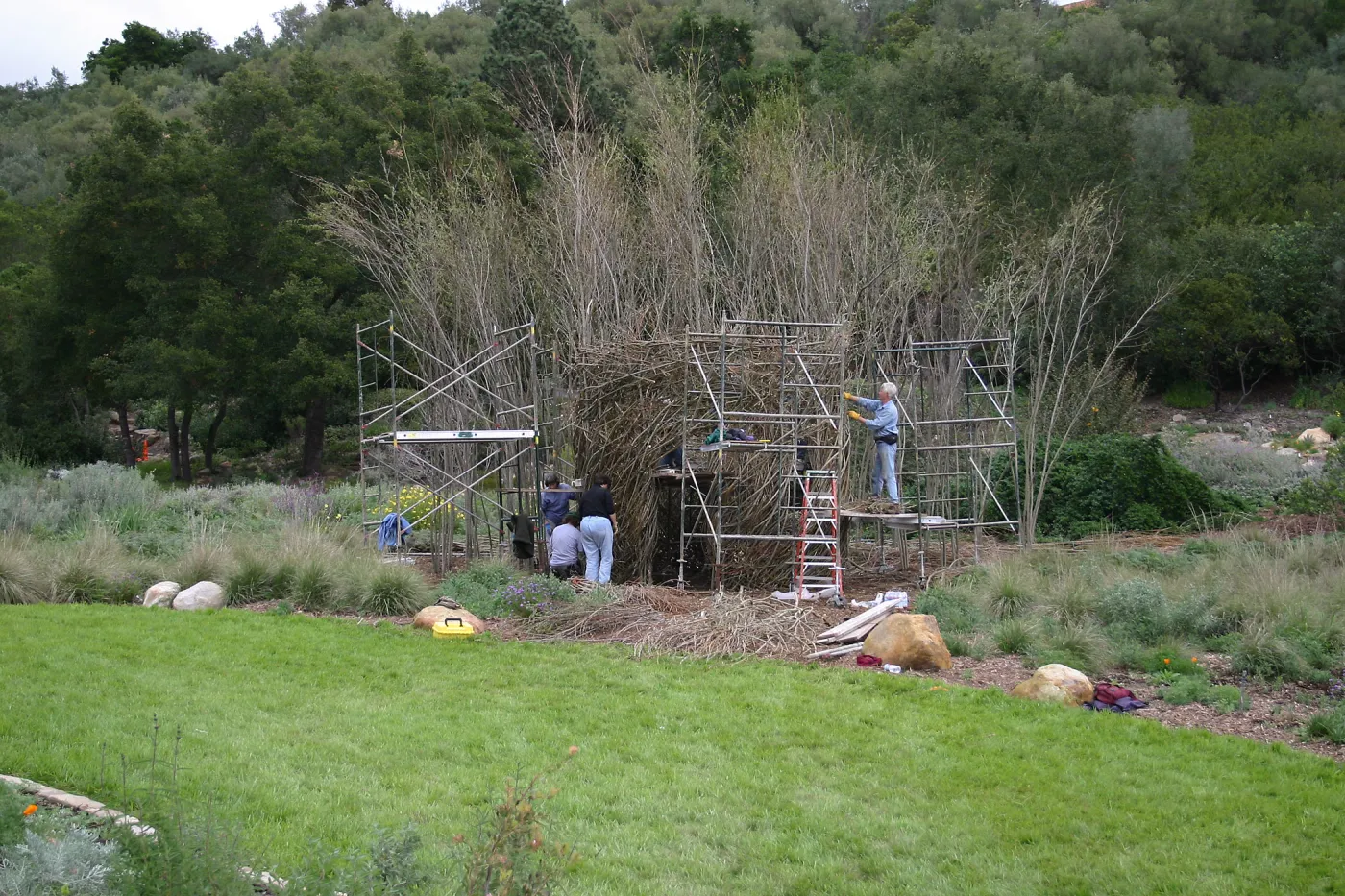 Toad Hall Construction