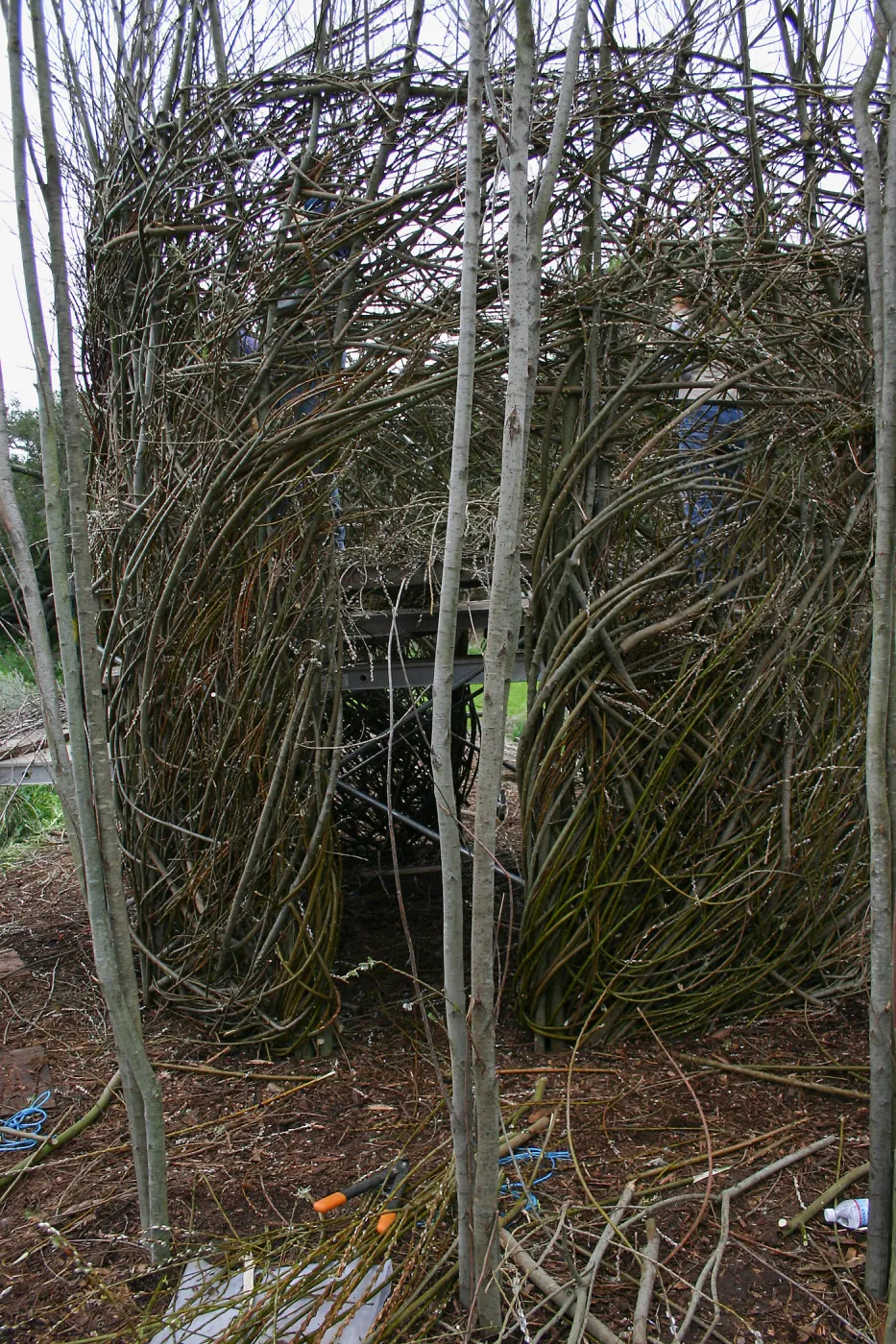 Toad Hall Construction