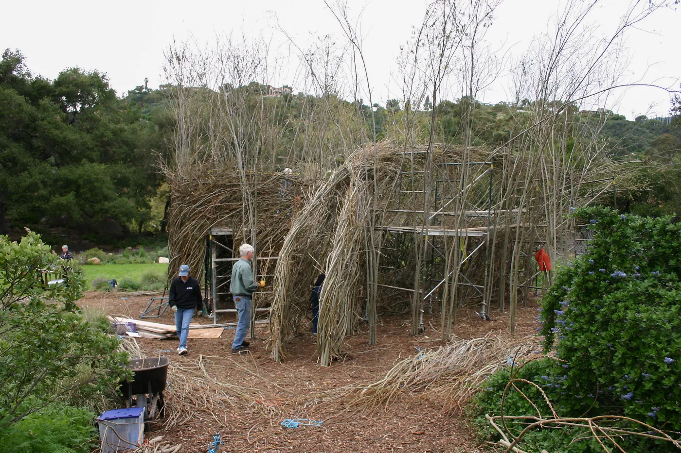 Toad Hall Construction
