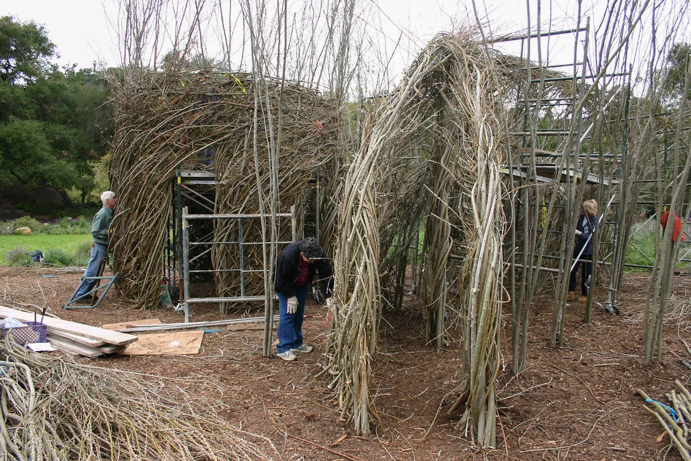 Toad Hall Construction