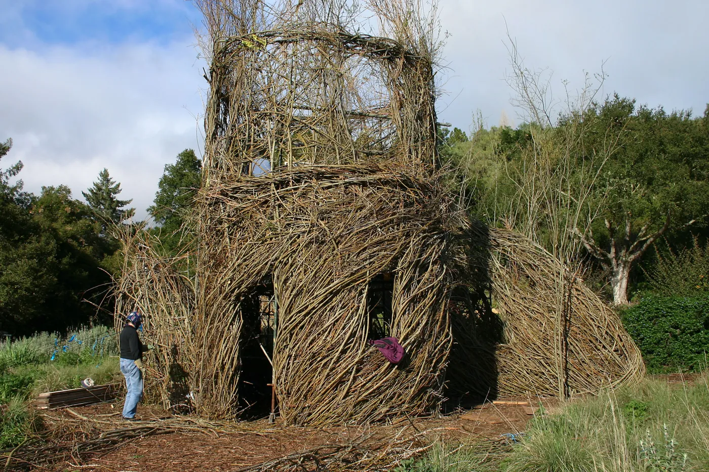 Toad Hall Construction