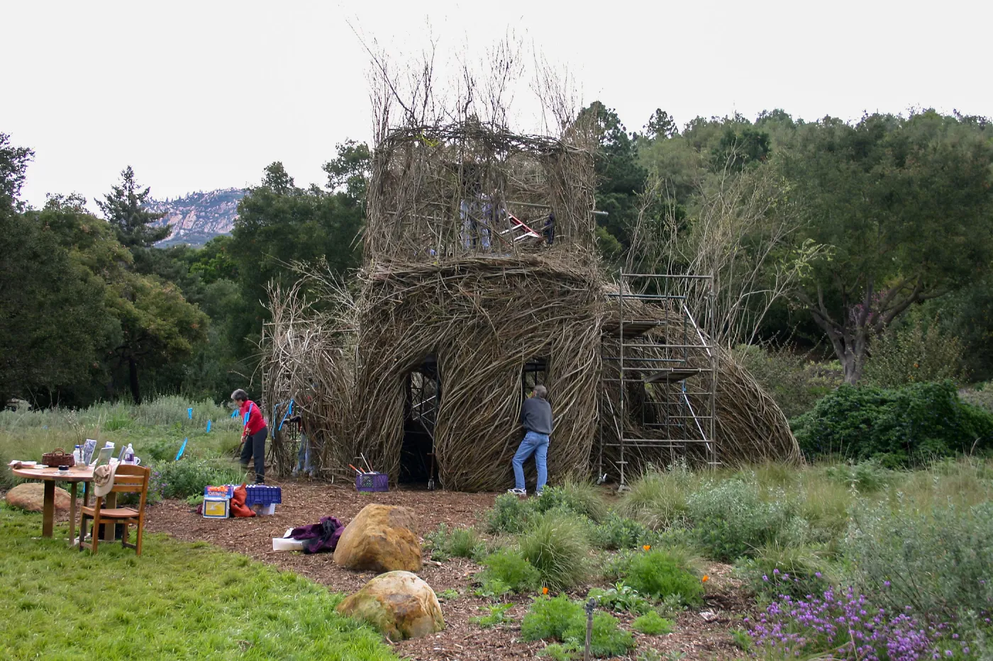 Toad Hall Construction