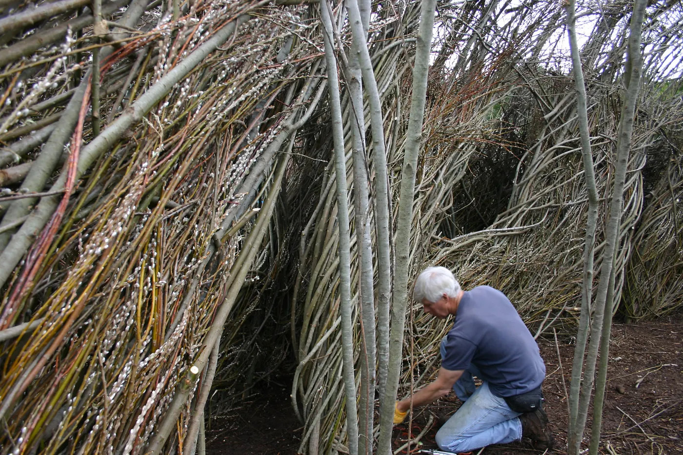 Toad Hall Construction