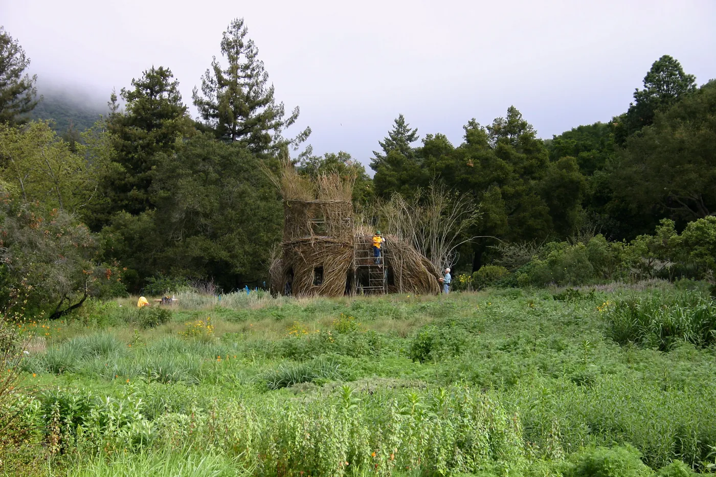 Toad Hall Construction