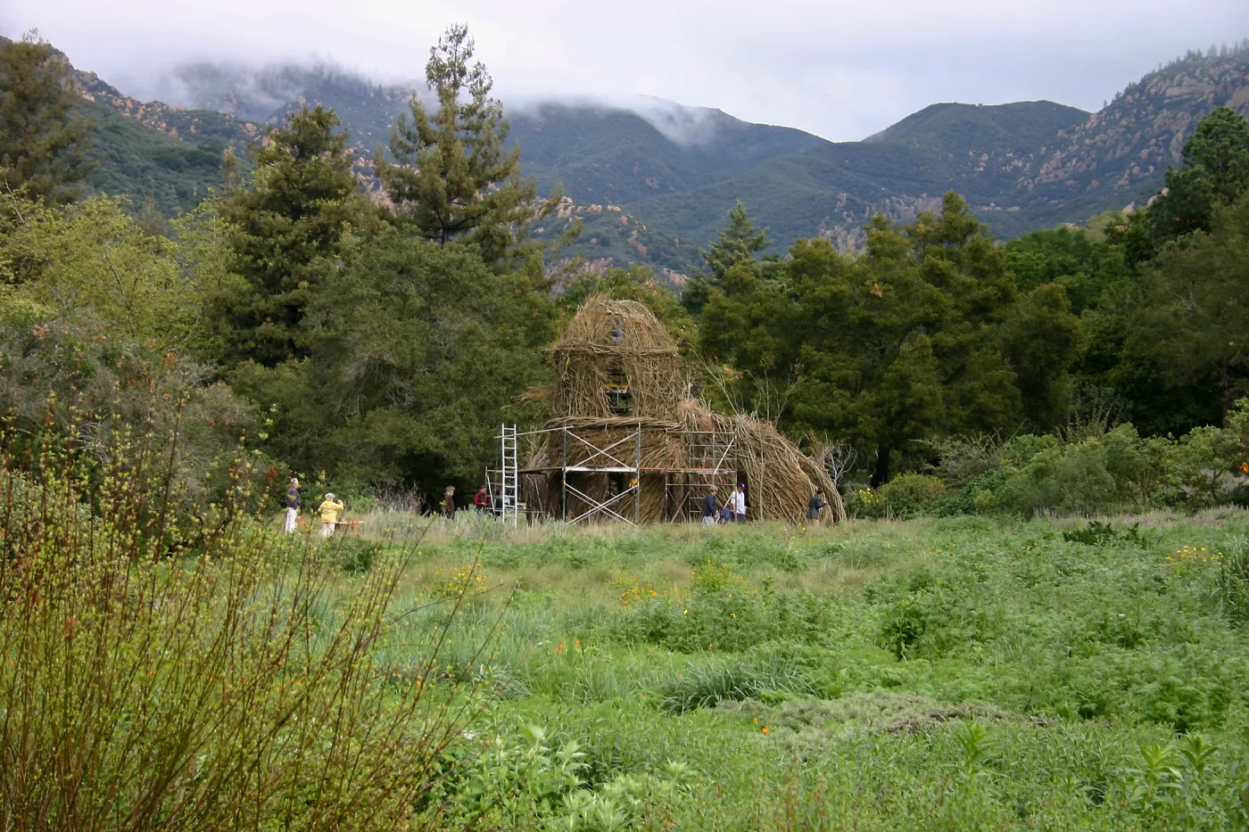 Toad Hall Construction