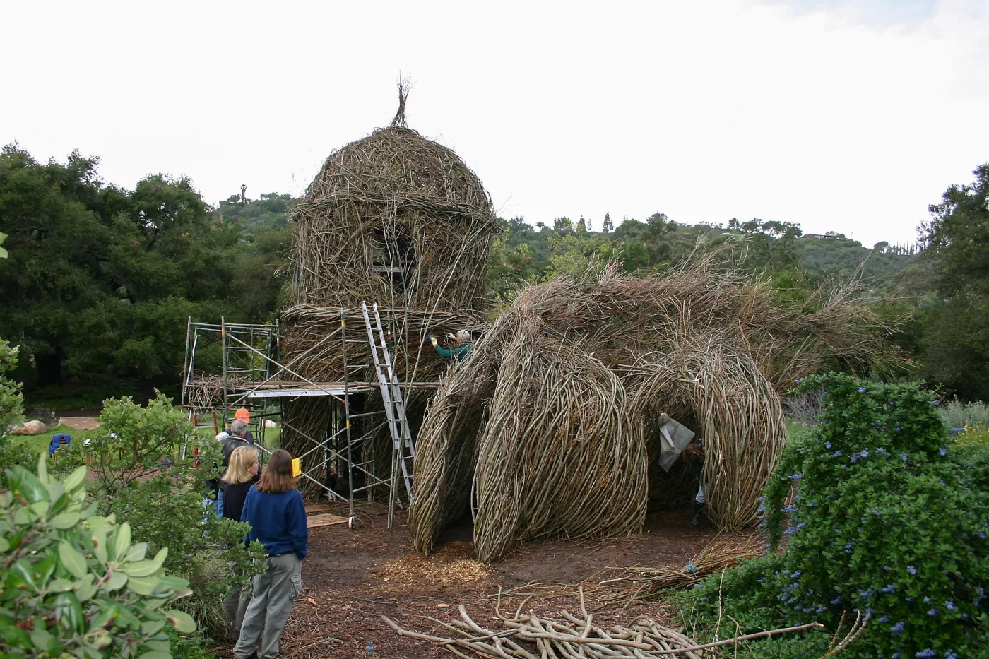 Toad Hall Construction