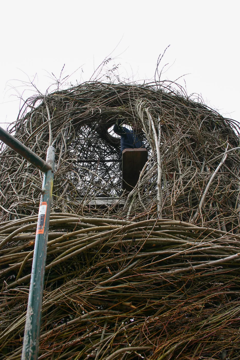Toad Hall Construction
