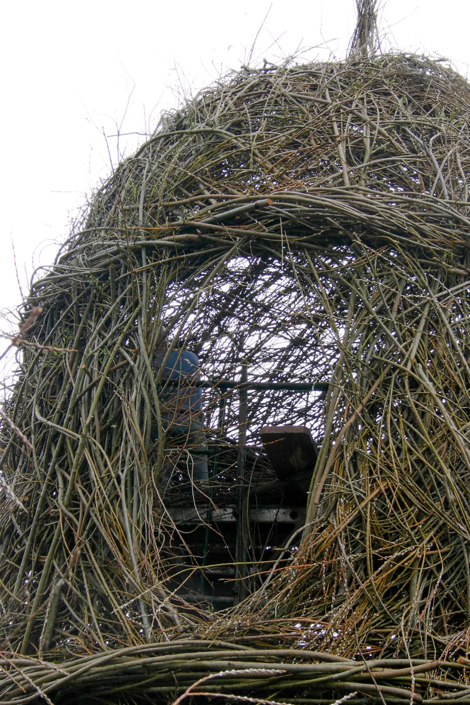 Toad Hall Construction