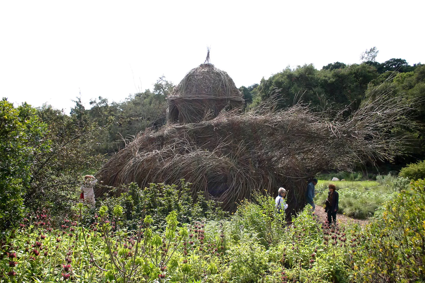 Toad Hall Construction