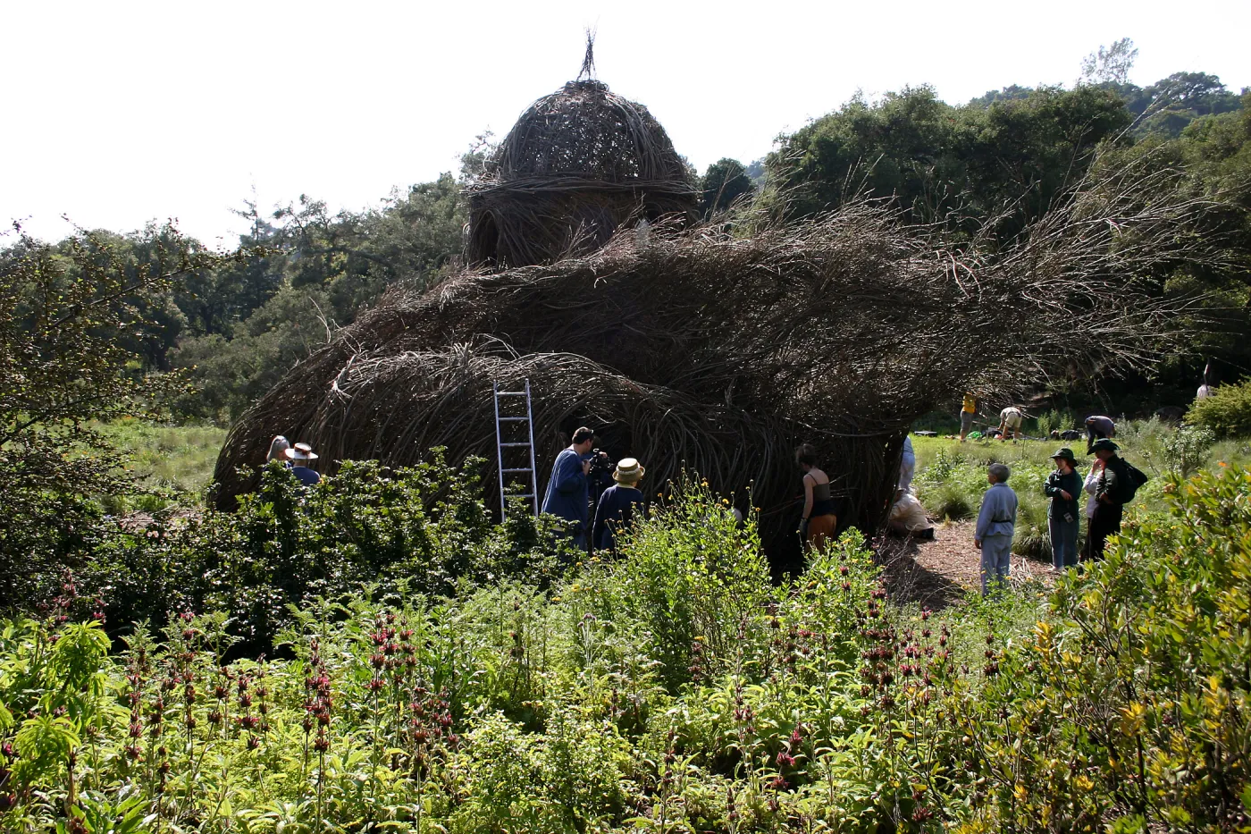 Toad Hall Construction