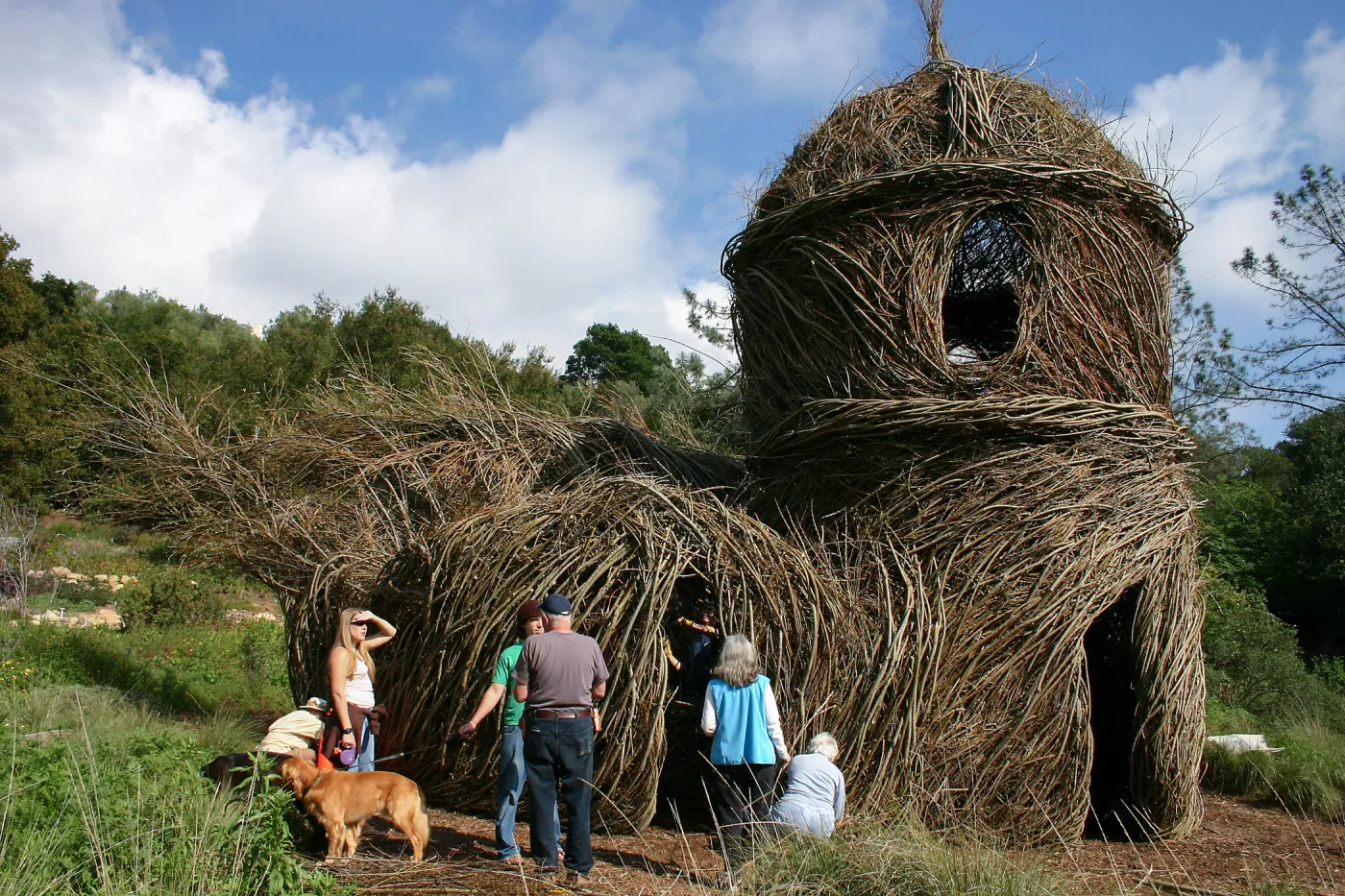 Toad Hall Construction