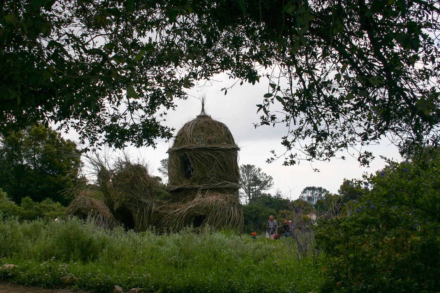 Toad Hall Members' Opening