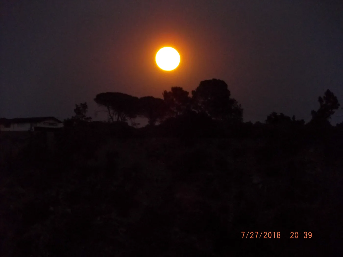 Members' Full Moon Hike