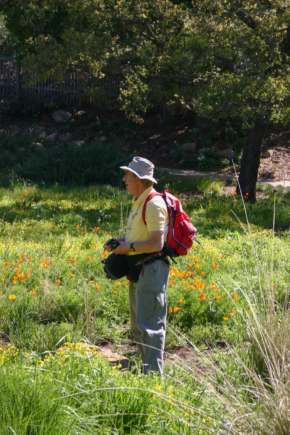 Patrick O'Hara in the Meadow