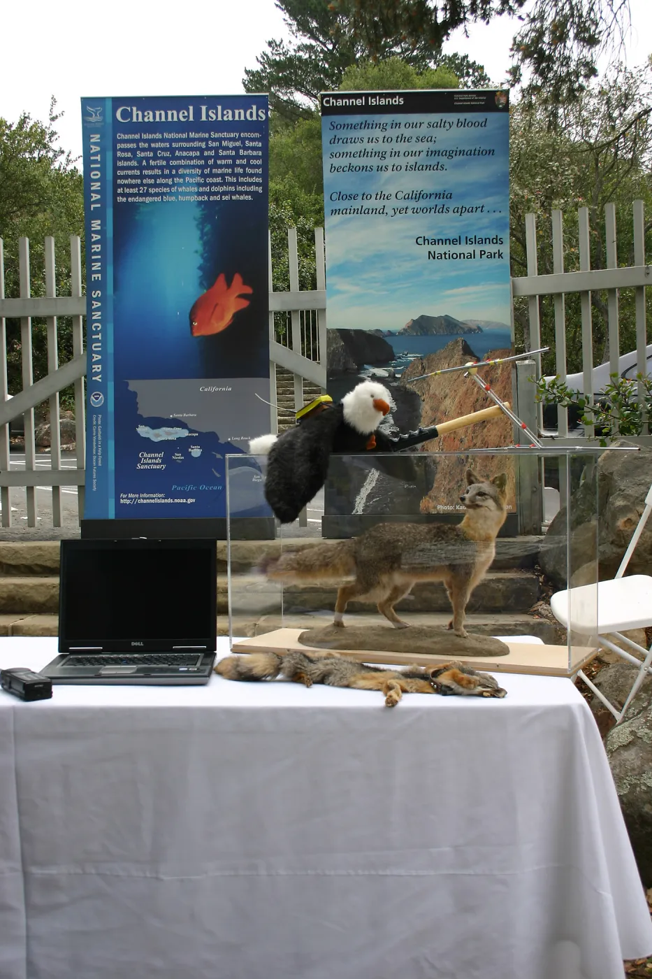 BioBlitz, Channel Islands National Park display