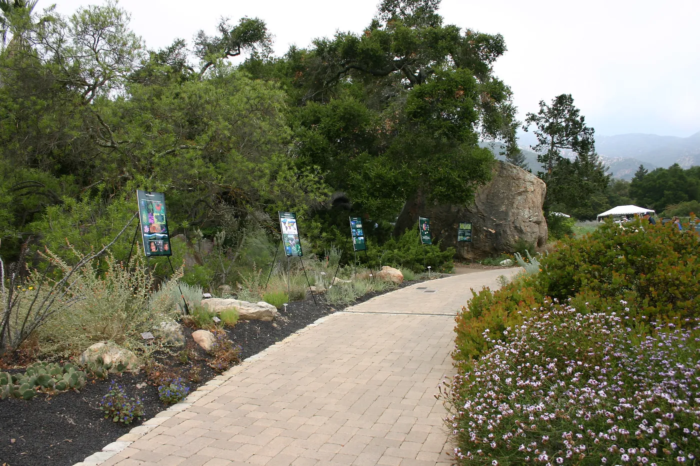 BioBlitz, Signage, Desert Section