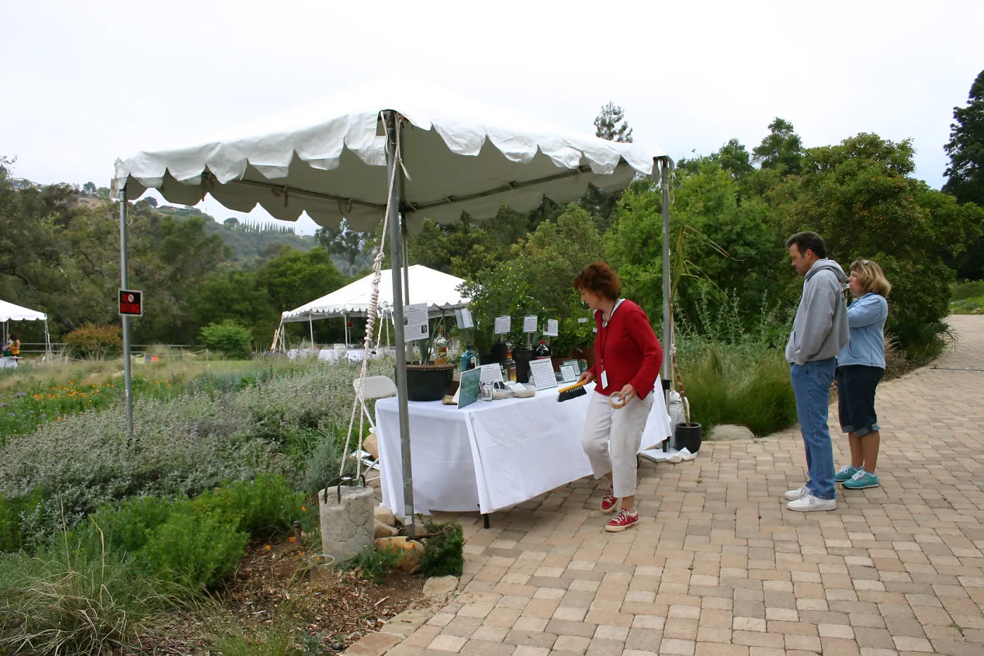 BioBlitz, Intoxicating Plants display