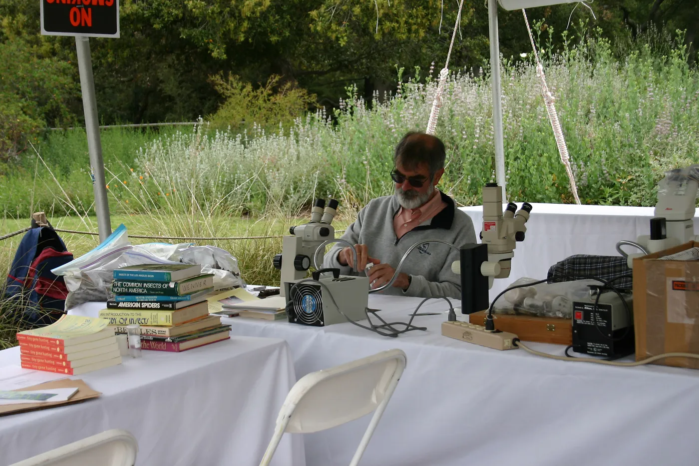 BioBlitz, Station