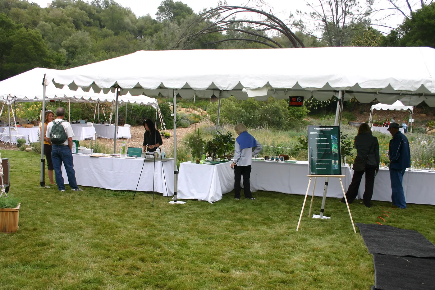 BioBlitz, Stations