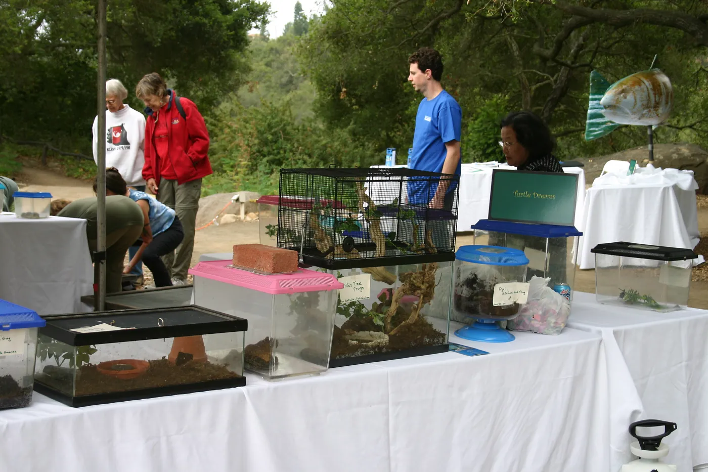 BioBlitz, Turtle Dreams display