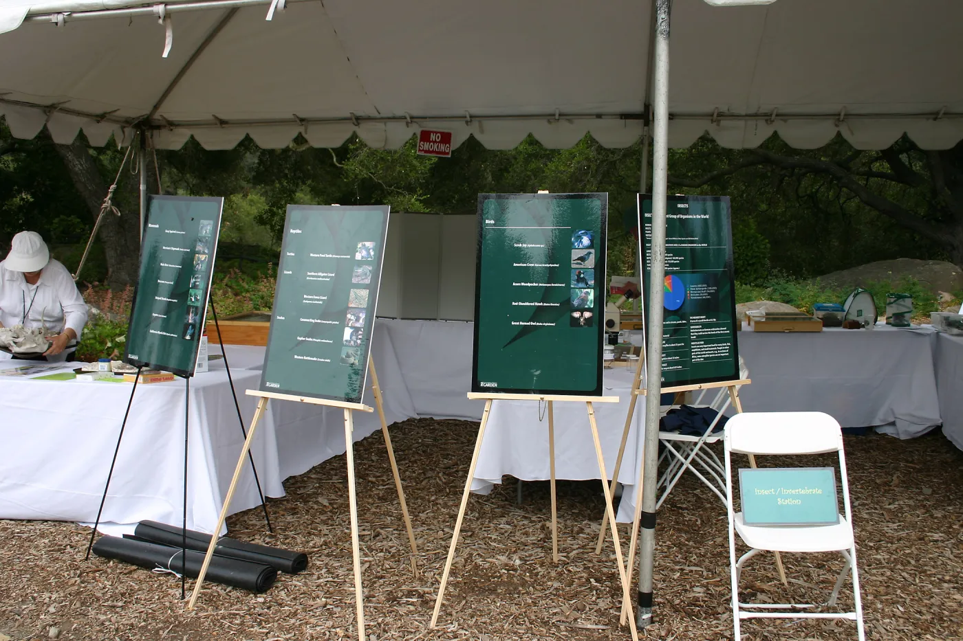 BioBlitz, Insect/Invertebrate station