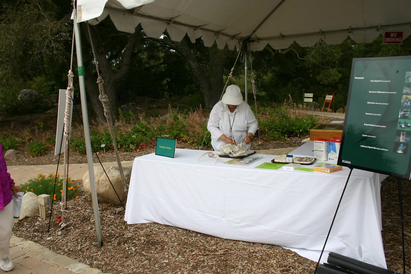 BioBlitz, Vertebrate Station