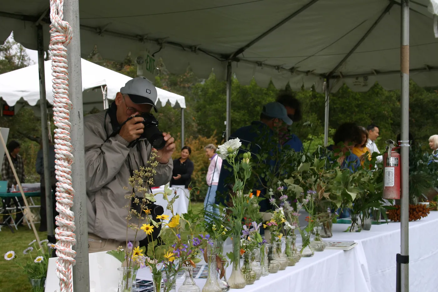 BioBlitz, Plant display at Station