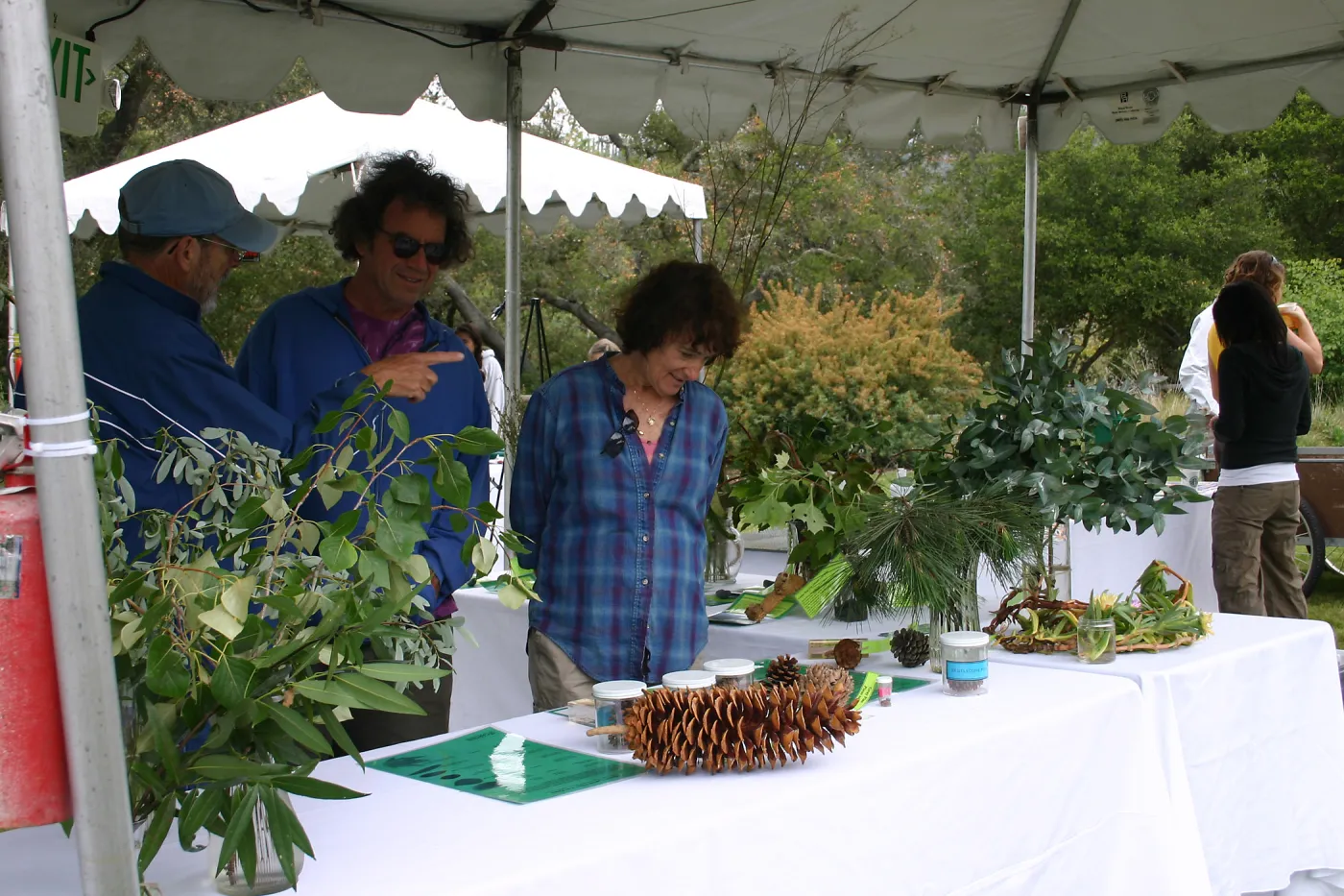 BioBlitz, Plant display at Station