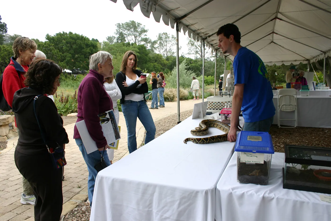 BioBlitz, Station
