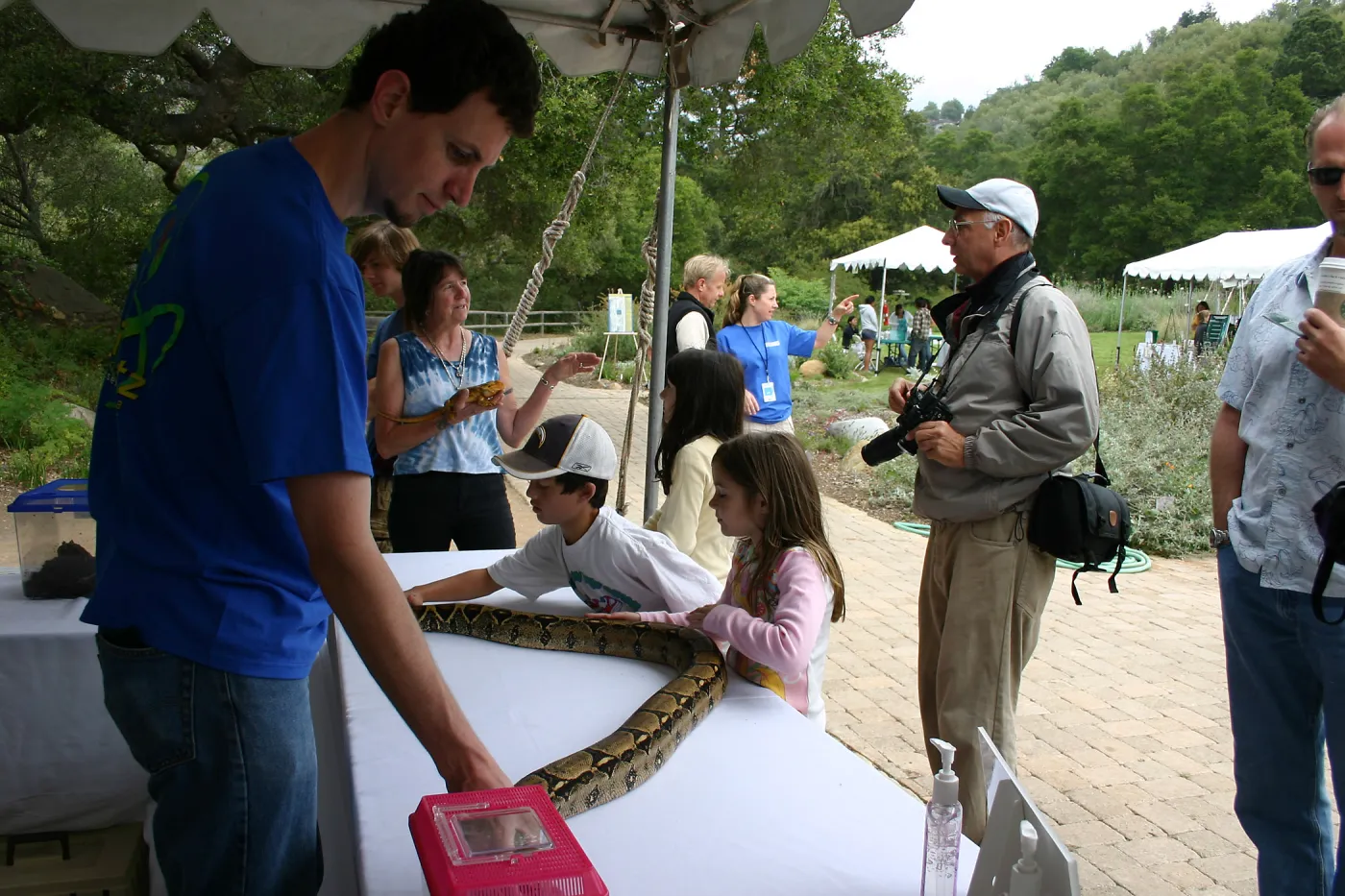 BioBlitz, Python 