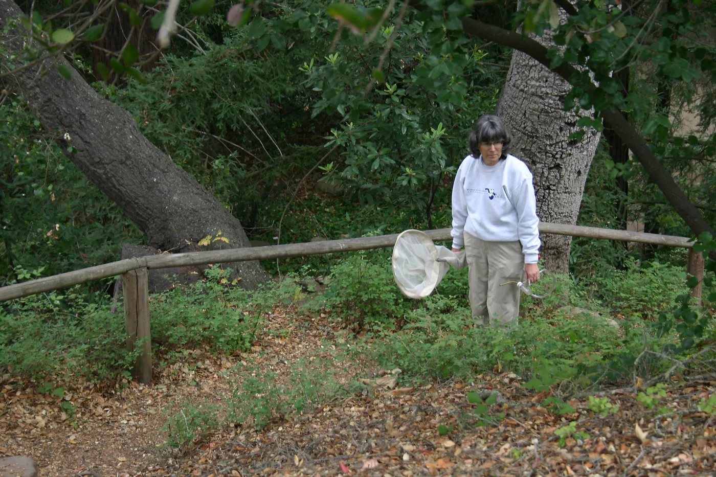 BioBlitz, Visitor with Butterfly net