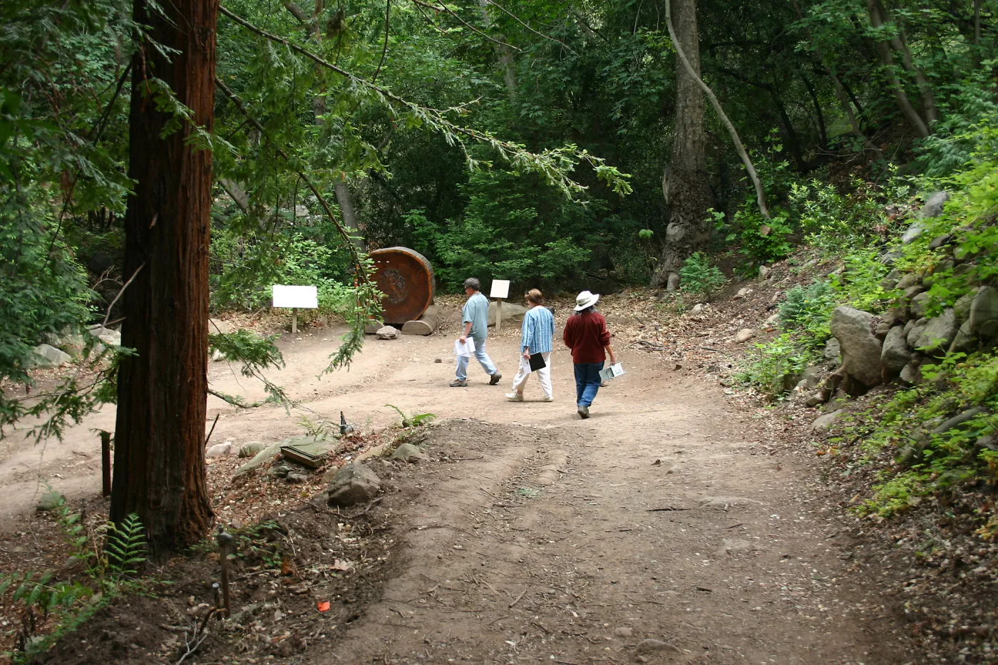 BioBlitz, Visitors, Redwood Section