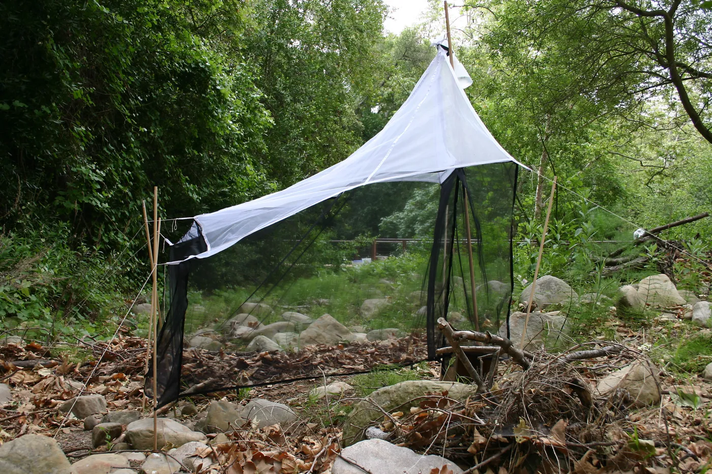 BioBlitz, insect collecting apparatus
