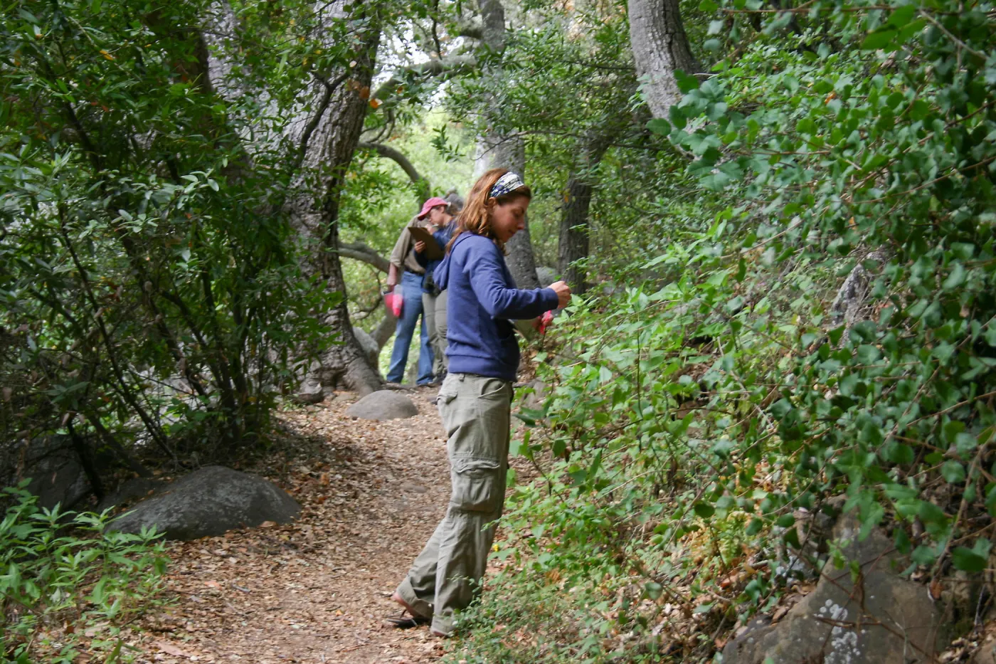 BioBlitz