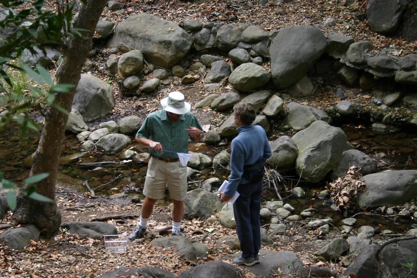 BioBlitz, Collectors at Mission Creek