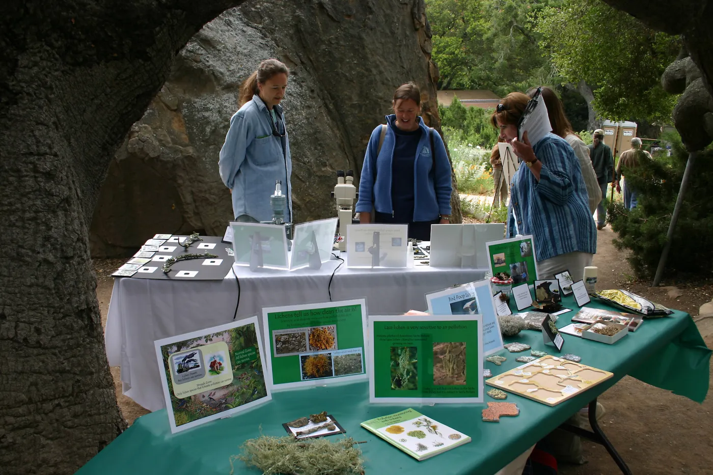 BioBlitz, Lichen display