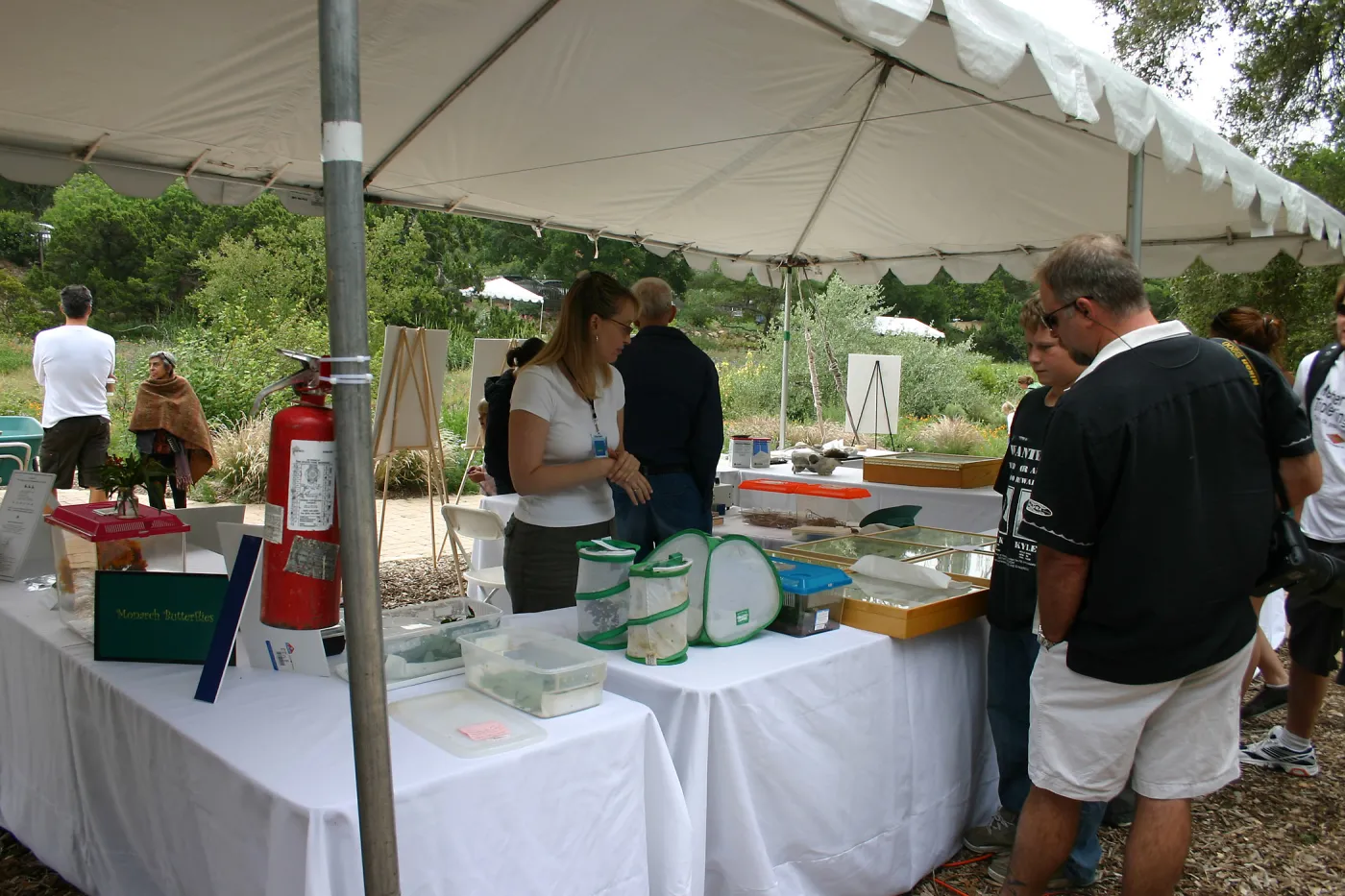 BioBlitz, Insect Station