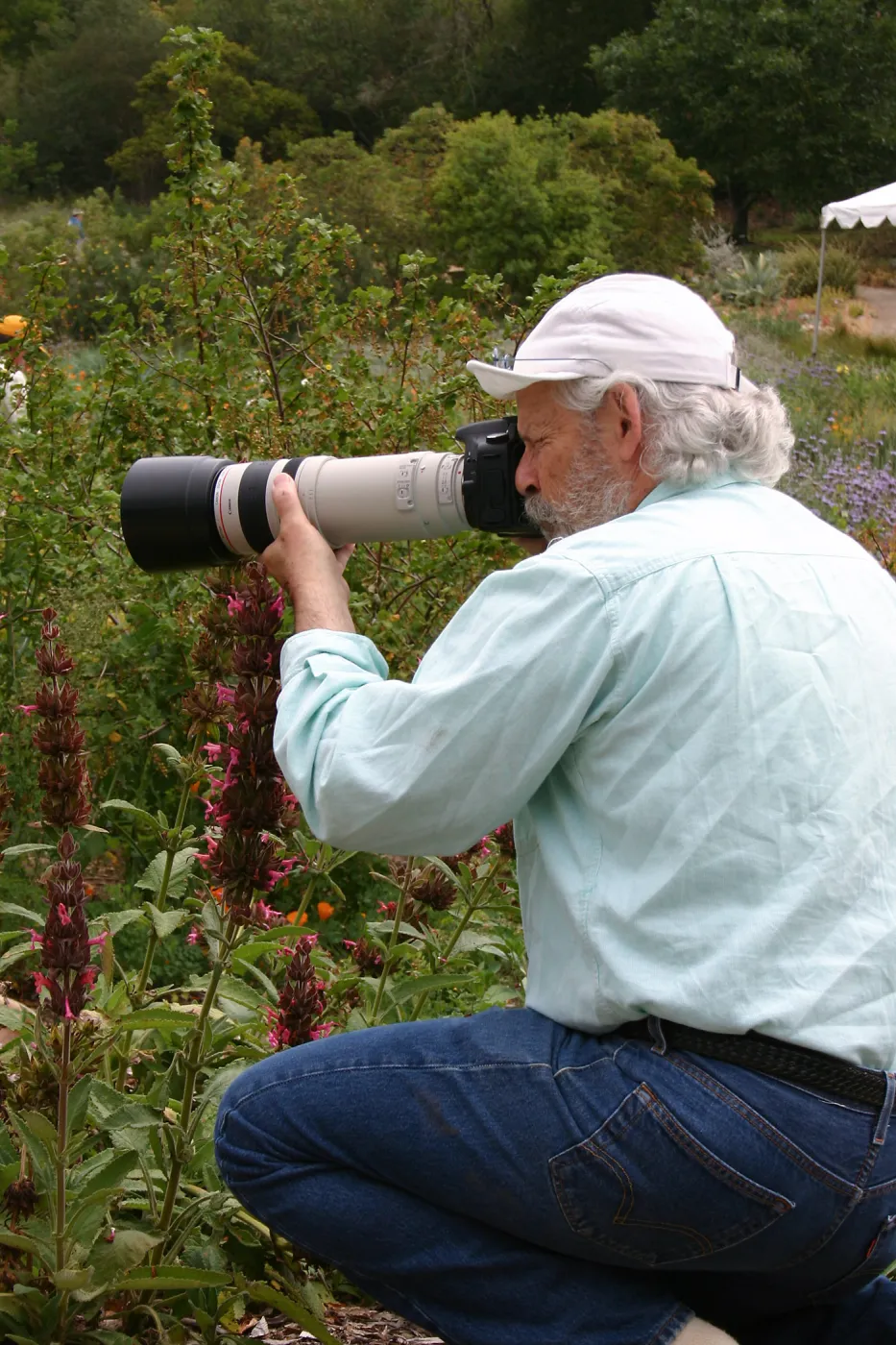 BioBlitz, photographer
