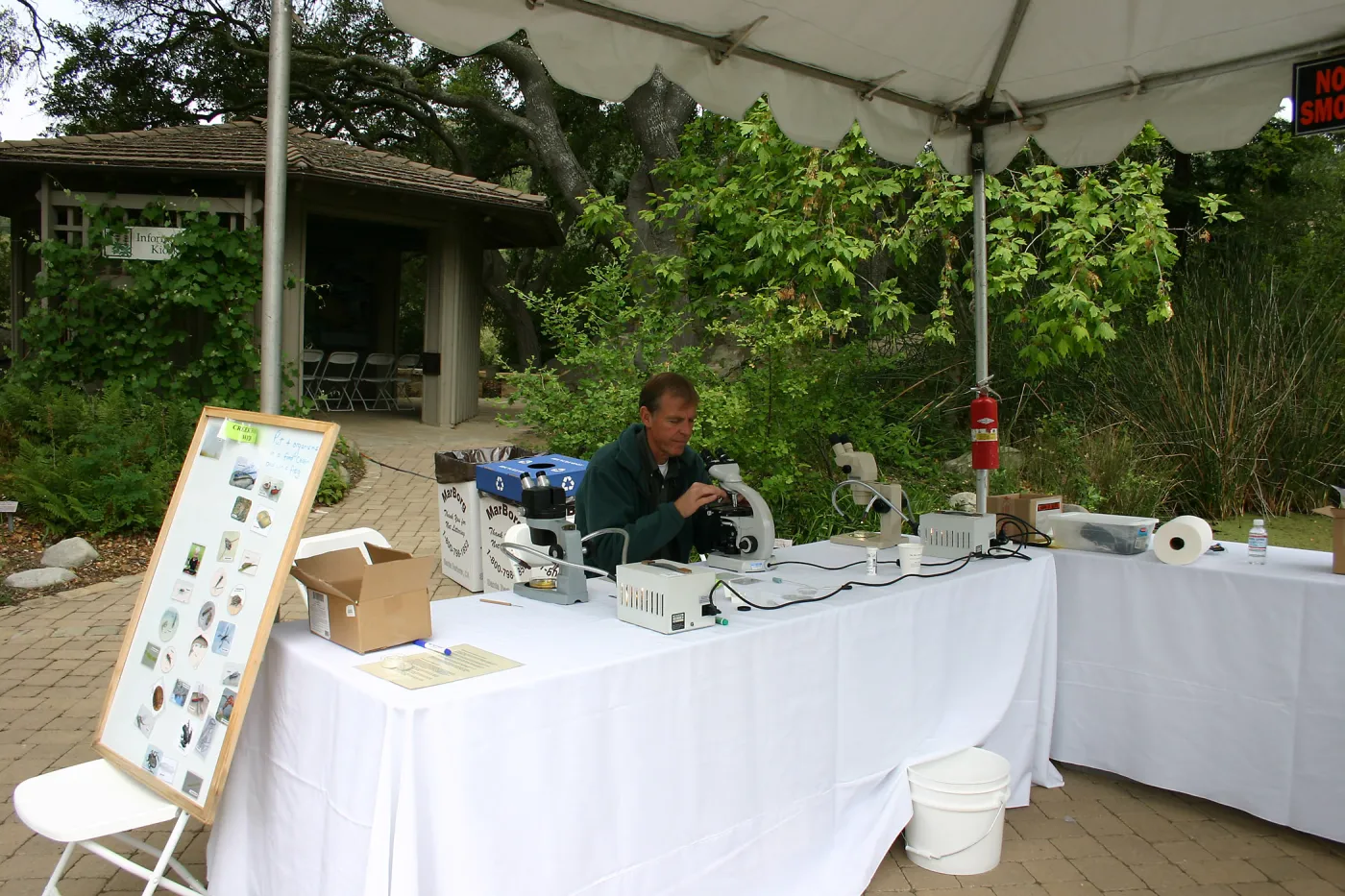 BioBlitz, Creek food web activity