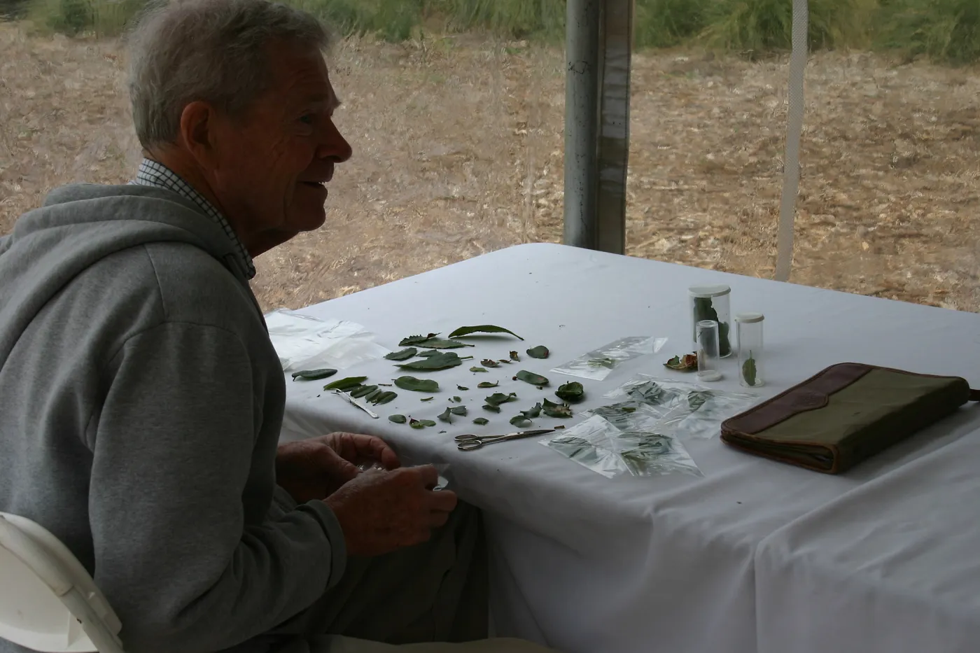 BioBlitz, Station