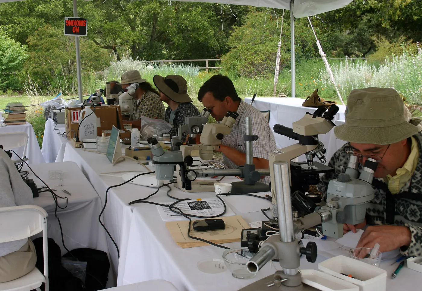 BioBlitz, scientist station