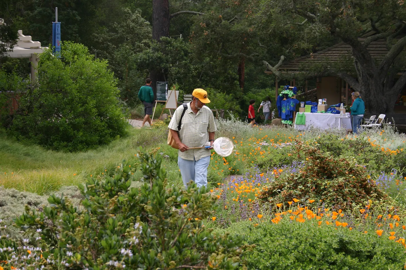BioBlitz, Visitor with butterfly net