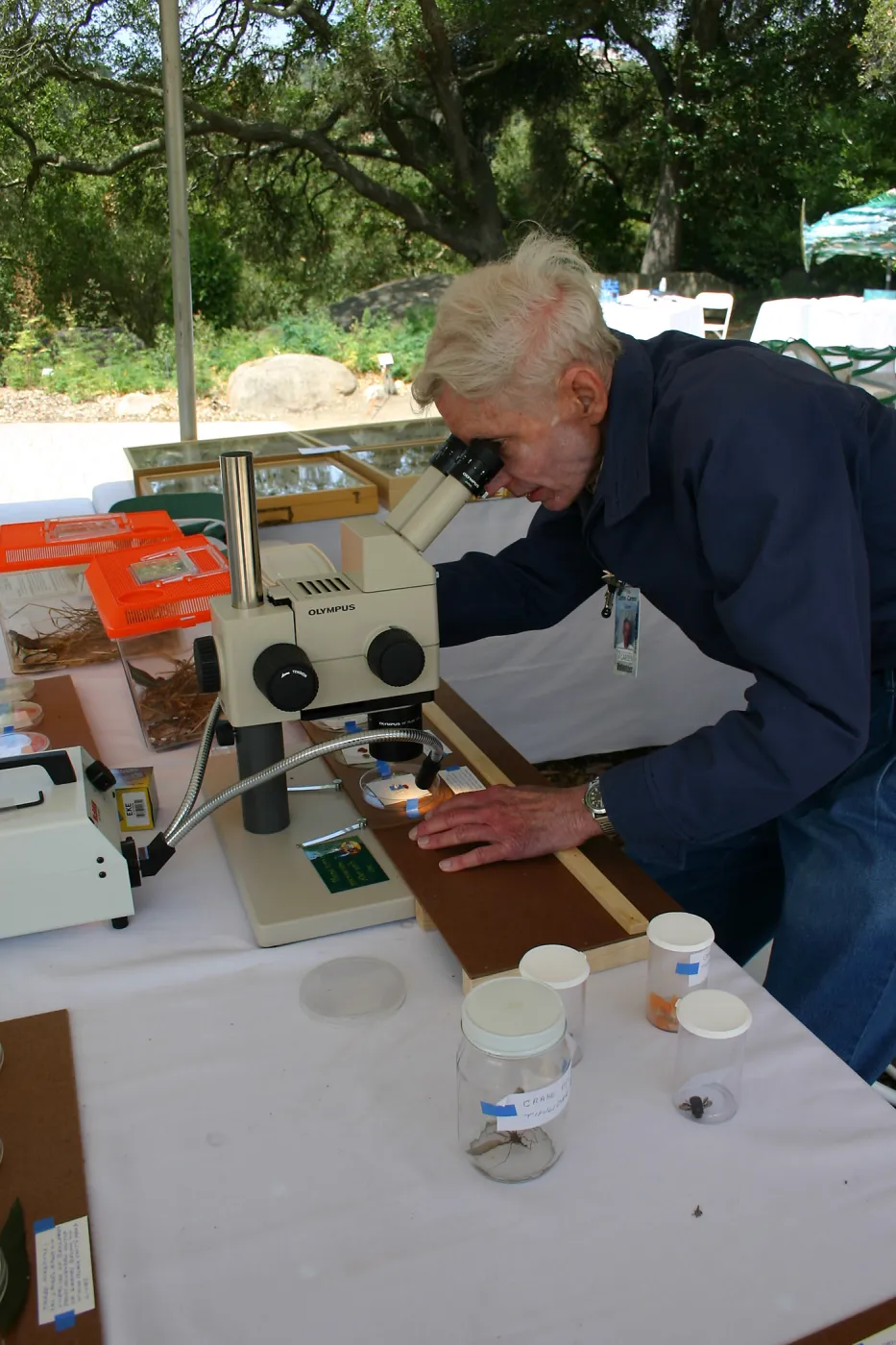 BioBlitz, microscope station