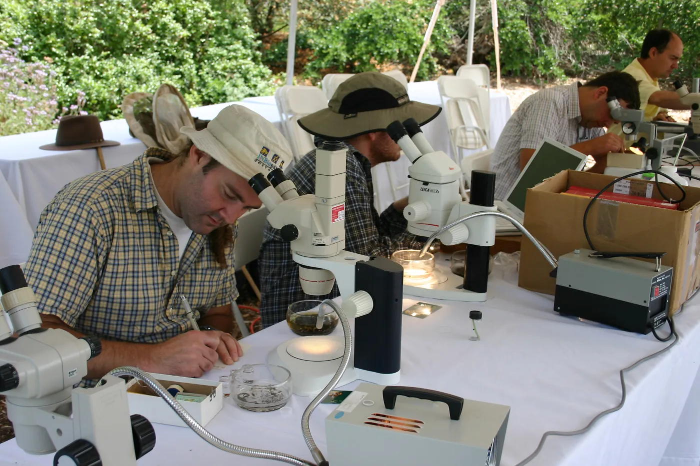 BioBlitz, Scientist Station